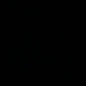 Meet your Posher, Lora